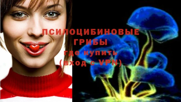альфа пвп Осинники