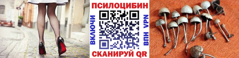 Галлюциногенные грибы Magic Shrooms  Полярный 
